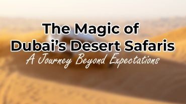 The Magic of Dubai's Desert Safaris: A Journey Beyond Expectations