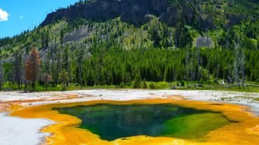 Yellowstone Geysers and Wildlife – Tours, Animals, Hot Springs Tour